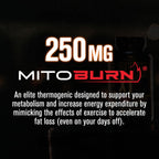 Jacked Factory Burn-XT Max - High-Performance Thermogenic Fat Burner & Appetite Suppressant for Weight Loss w/PurCaf Organic Caffeine, MitoBurn, Green Tea, Acetyl L Carnitine & More - 90 Capsules