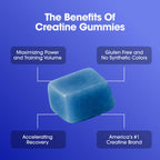 Optimum Nutrition Creatine Monohydrate Gummies, Blue Raspberry Flavor, 105 Count, 35 Servings, 5g Creatine per Serving (Packaging May Vary)