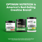 Optimum Nutrition Creatine Monohydrate Gummies, Pineapple Flavor, 105 Count, 35 Servings, 5g Creatine per Serving (Packaging May Vary)