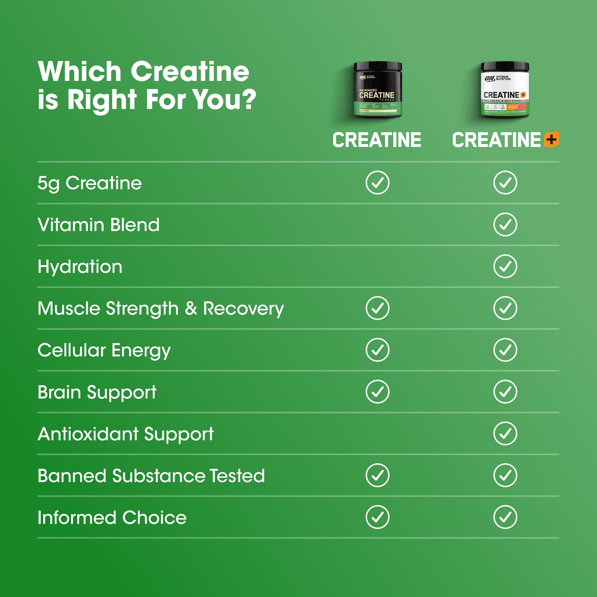 Optimum Nutrition Micronized Creatine Monohydrate Powder, Unflavored, 240 Servings, 1200 Grams (Packaging May Vary)