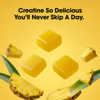 Optimum Nutrition Creatine Monohydrate Gummies, Pineapple Flavor, 105 Count, 35 Servings, 5g Creatine per Serving (Packaging May Vary)