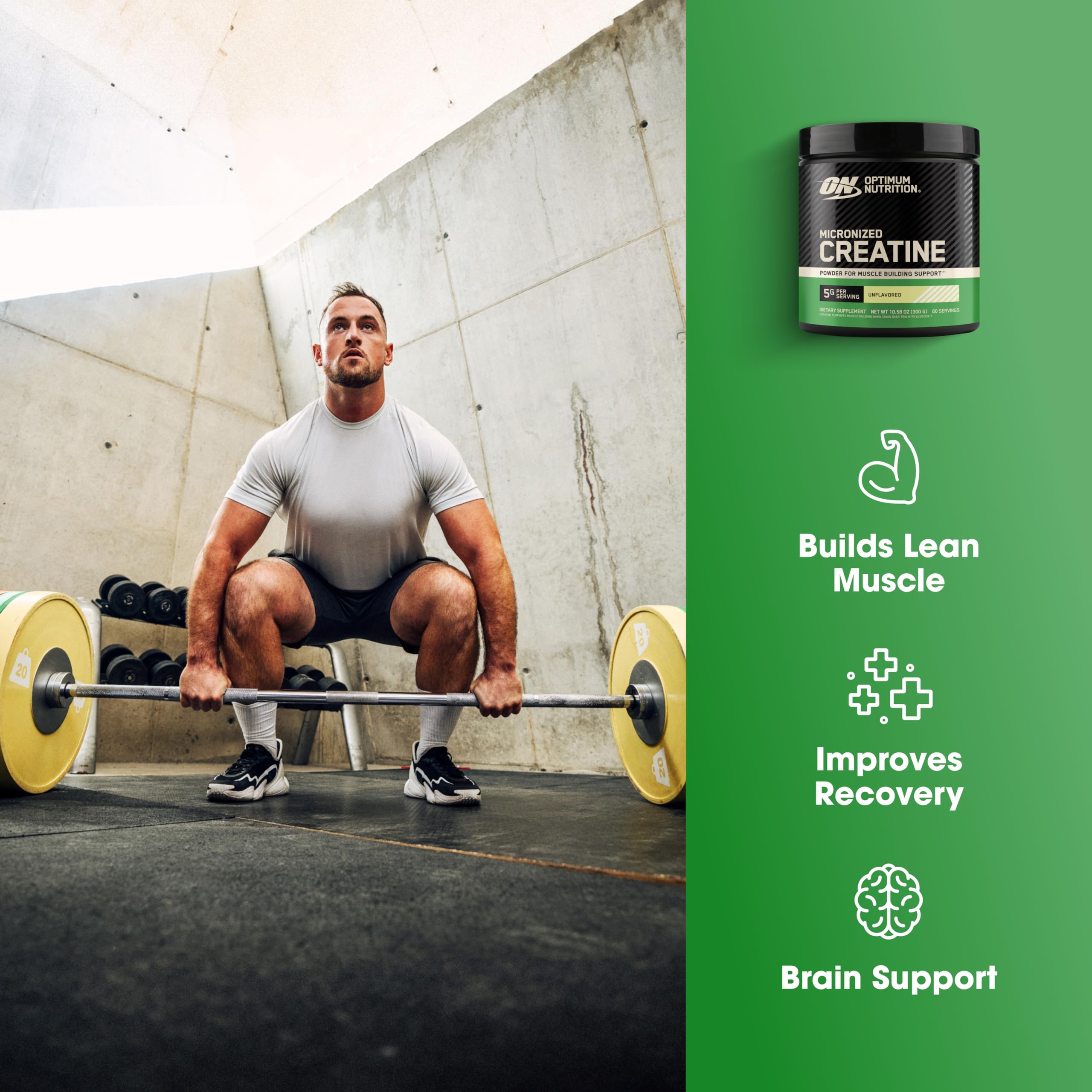 Optimum Nutrition Micronized Creatine Monohydrate Powder, Unflavored, 60 Servings, 300 Grams (Packaging May Vary)